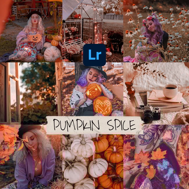 Pumpkin Spice (12 Lightroom Mobile Presets)