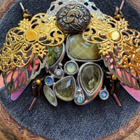 Image 2 of Beetle  (a, 3.5 inches)
