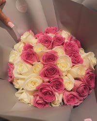 25 Pink & White Roses