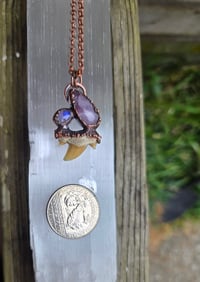 Image 3 of Electroformed shark tooth necklace 01