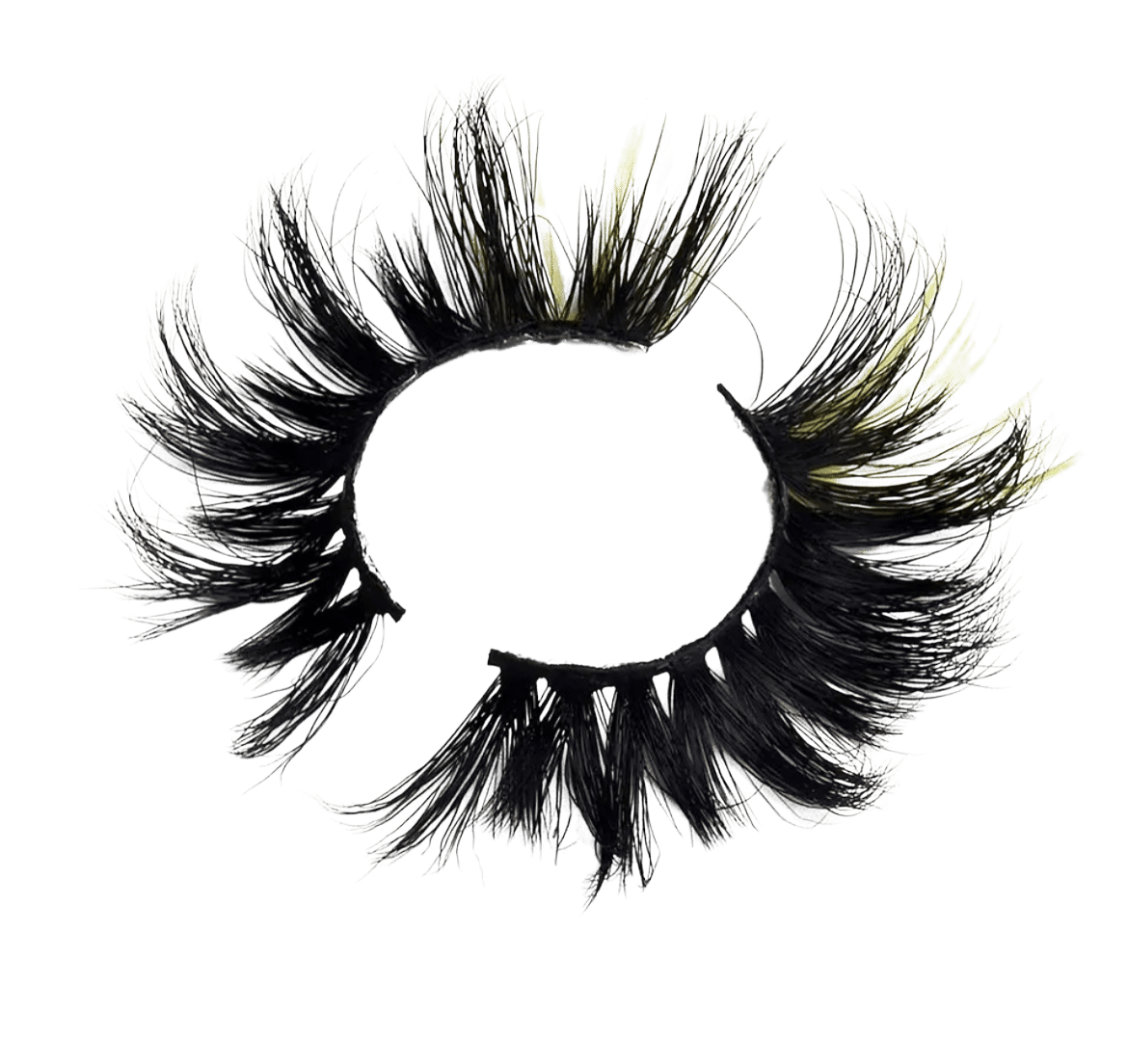 Image of Artsité 🖼️✨