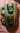 MONSTER MUG / CANISTERS 