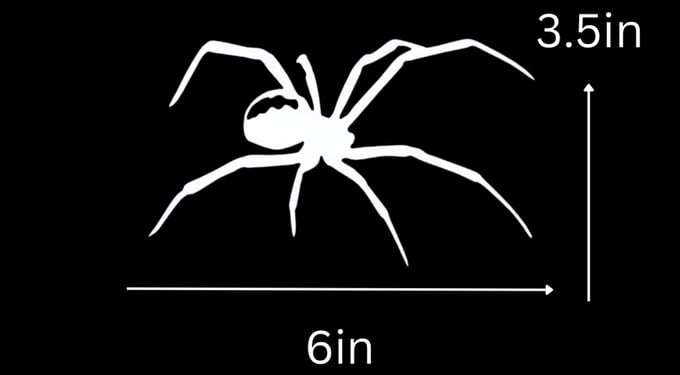 Image of Spider Decal 