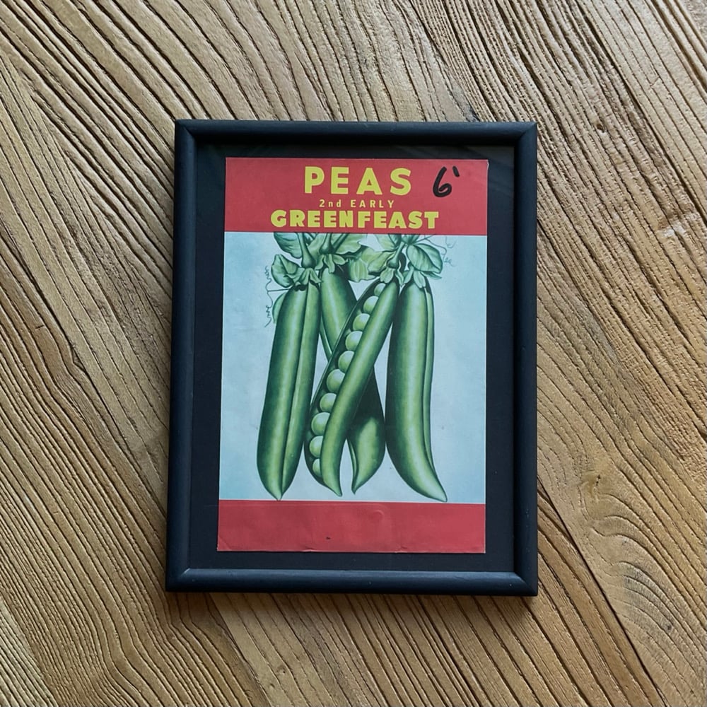 Image of Beans
