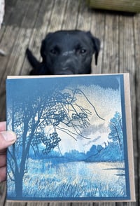 Image 2 of Set of 4 square greetings cards by Jon Mackay