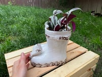 Image 2 of  Purple Tradescantia in White Boots with Bird