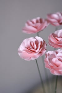 Image 1 of Rosellina