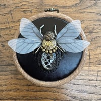 Image 4 of Snake skin bee (c,  3 inches)