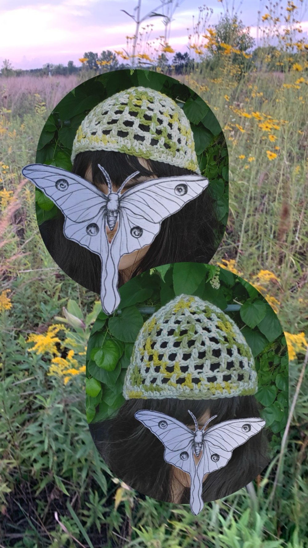Image of Summer Fields Skullcap