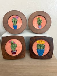 Cacti 