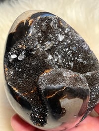 Image 10 of Septarian Egg With Calcite #2420