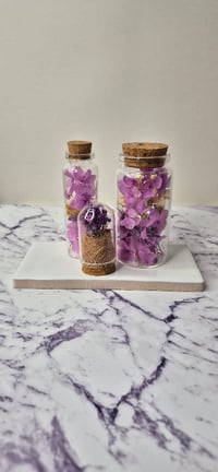 Image 3 of DIY Preserved Flower Workshop Kit