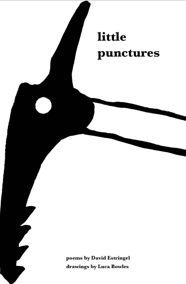 Little Punctures - David Estringel & Luca Bowles (preorder)