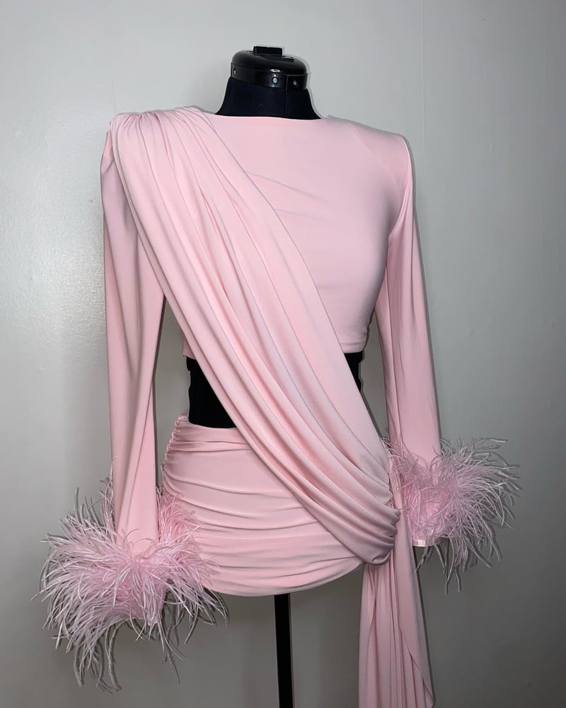Image of Roxy Dress with Ostrich Feather Cuffs 