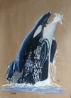 Tilikum Art Print