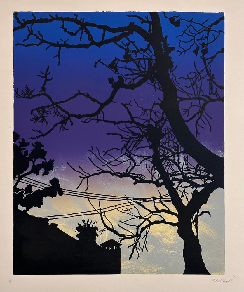 Image of First Light 