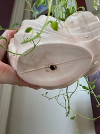 Image 4 of Strand of Dolphins in Swan Planter