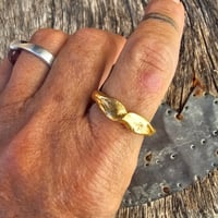 Image 1 of Golden twist, US, US 7