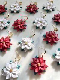 Image 1 of Poinsettias