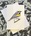 UK Birding Cards - Choose A Species