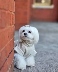 Image 2 of KNIT TEE - ECRU