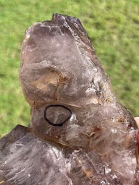 Image 2 of Smoky Quartz & Red Rutile Enhydro Multi Terminated Crystal | Zambia #3052