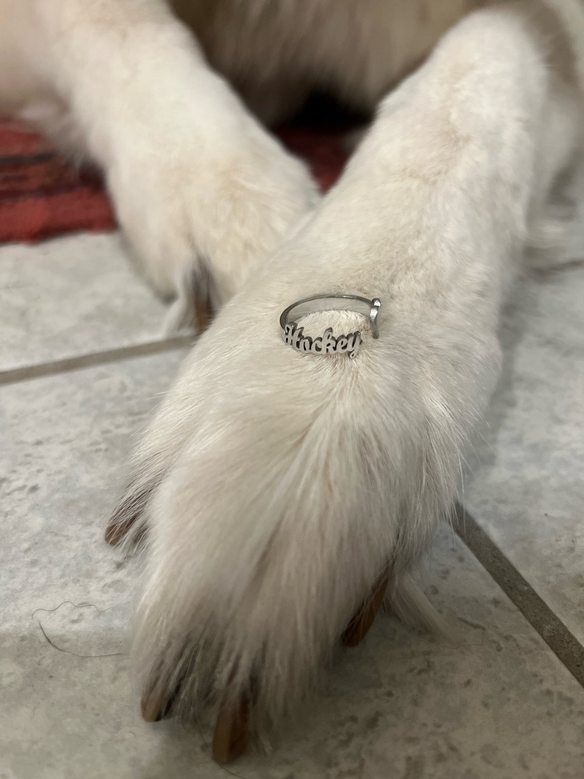 Hockey Ring (Stainless Steel) [Free shipping]