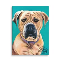 Image 2 of Teal Mastiff
