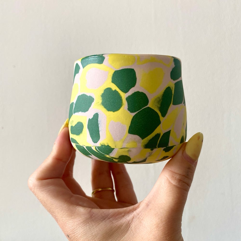 Image of Venus Cup #3