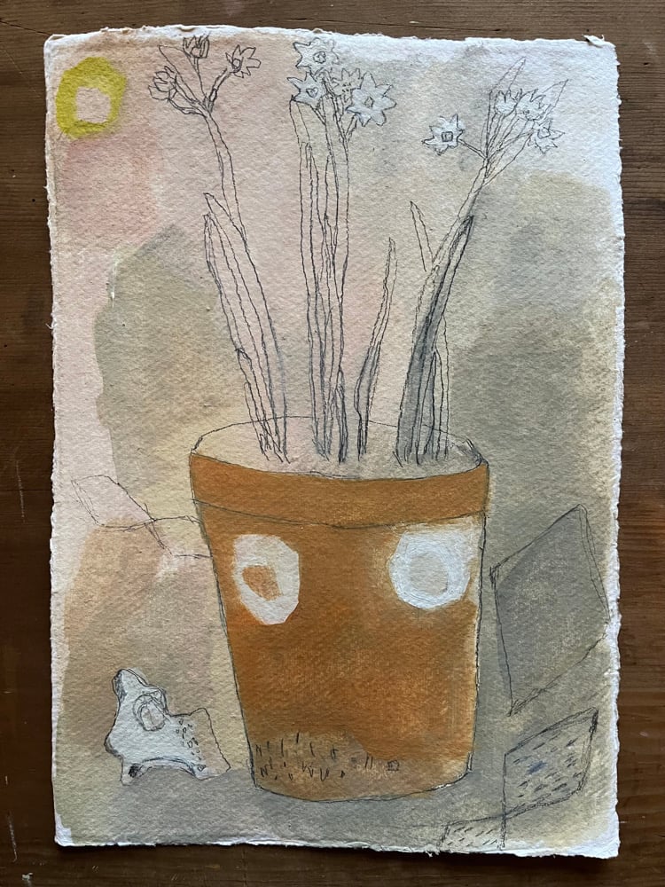Image of Paperwhites in an old pot. 