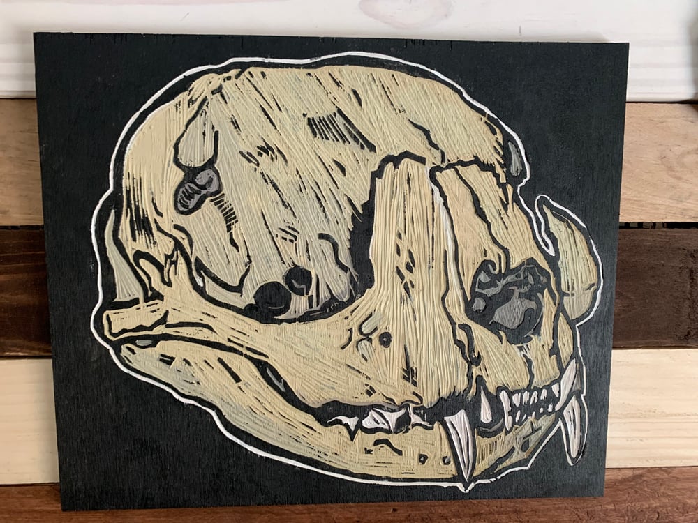 Cat Skull