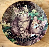 meaning is lifelessness 