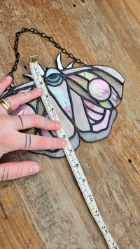 Image 5 of Moth pink