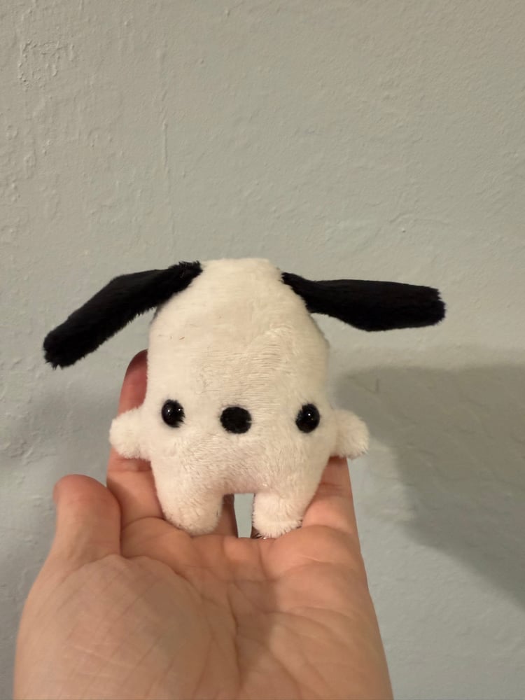 Image of beanie pup
