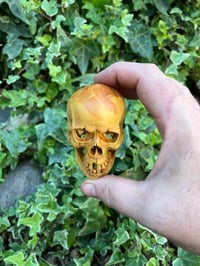 Image 5 of Boxwood Skull