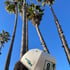 THE DUUM BRUHS SNAPBACK [FORRESTGREEN/CREAM] Image 2