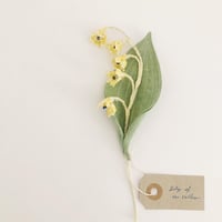 Image 3 of cocon flowers