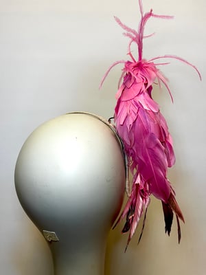 Image of Pink bird