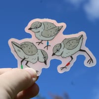 Image 4 of Piping Plover Chicks Holo 3” Sticker