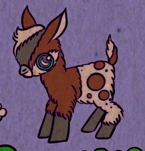 Baby goat!