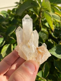 Image 3 of Himalayan Quartz Cluster 