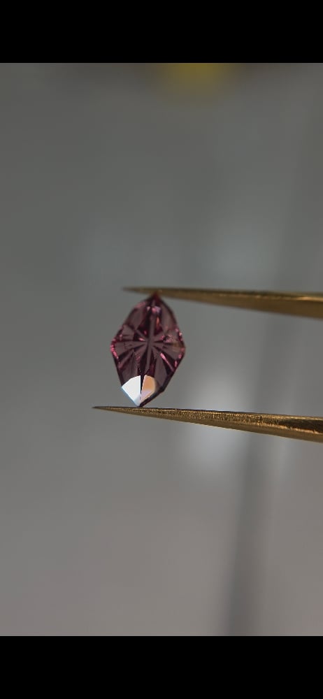Image of Dragonfly Rose Garnet