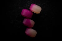 “X-004” experiment series