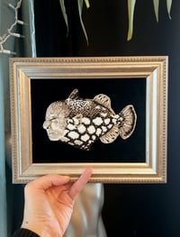 Image 1 of UP56403 ORIGINAL