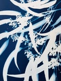 A3 Original Gum Leaf Cyanotype