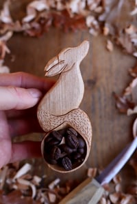Image 7 of Fox~ Coffee. Scoop 