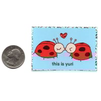 Image 2 of ladybugs
