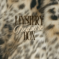Mystery Treassure Box