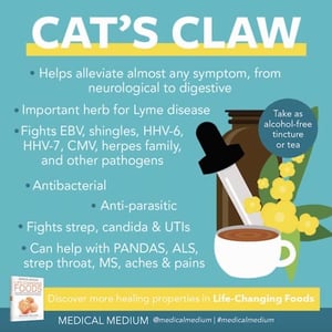 Image of Cats Claw Herbal Extract