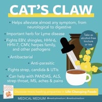 Image 2 of Cats Claw Herbal Extract